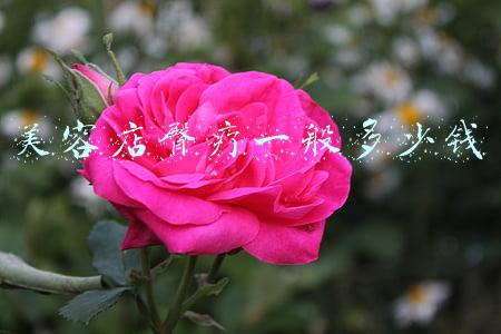 臀疗一般多少钱；做臀部理疗一次多少钱？