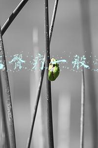 臀疗一个疗程多少钱-整形垫臀部要多少钱多久才能恢复