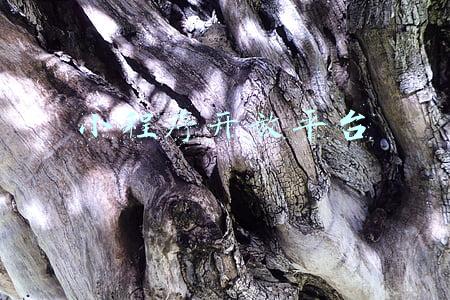 小程序开放平台