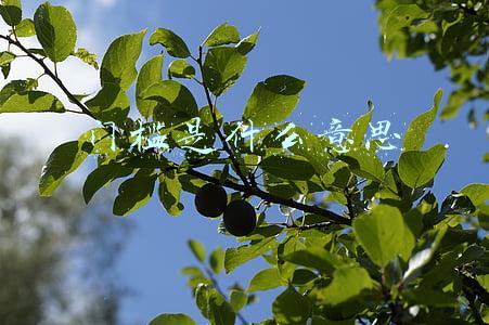 需求门槛是什么意思(人民来论：既然叫“门槛”，就意味着不是不能迈)