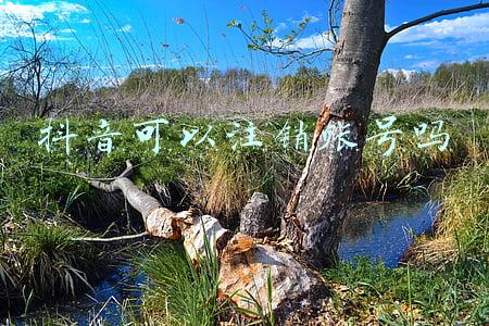 抖音可以注销账号吗