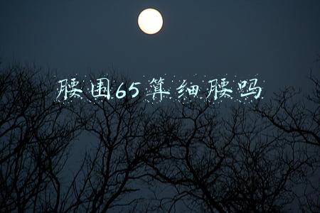 腰围65算细腰吗