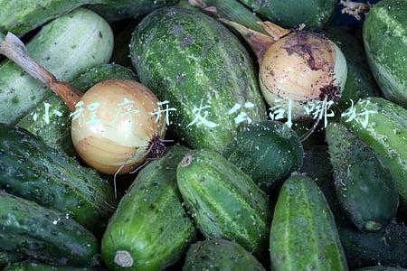 小程序开发公司哪好