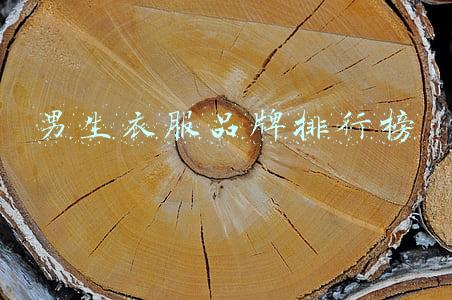 男生衣服品牌排行榜