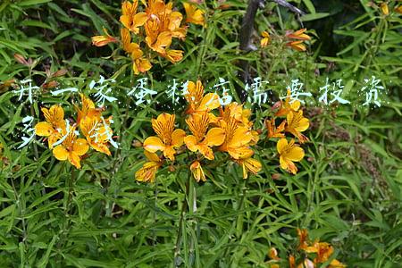 开一个蛋糕店要投资多少钱 开一家蛋糕店，要多少资金？