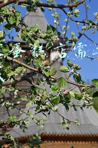 开个蛋糕店需要投资多少钱，开个蛋糕店需要投资多少钱