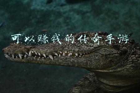 可以赚钱的传奇手游
