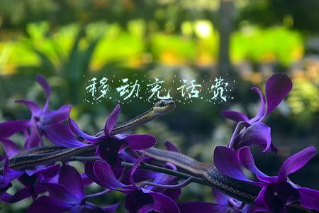 移动充话费