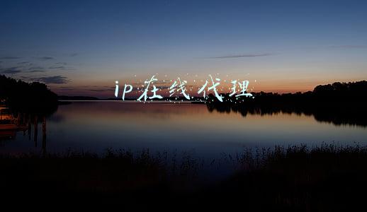 ip在线代理