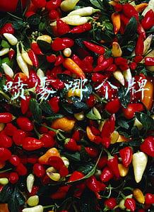 防晒喷雾哪个牌子好