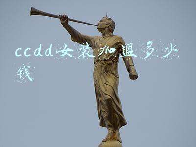 ccdd女装加盟多少钱