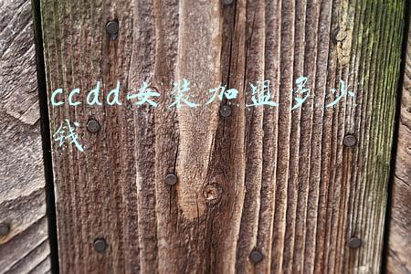 ccdd女装加盟多少钱