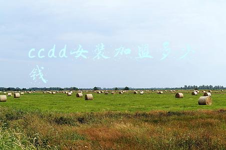 ccdd女装加盟多少钱