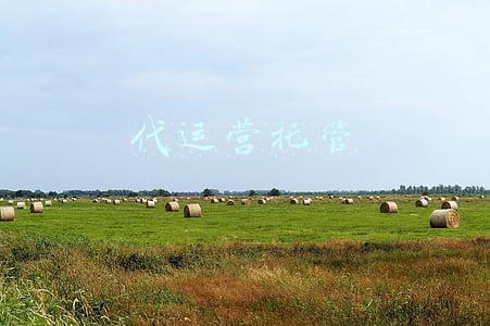 代运营托管