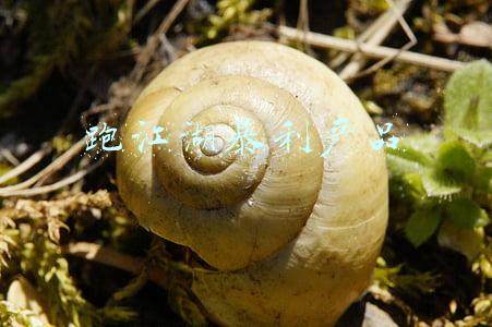 跑江湖暴利产品
