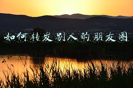 如何转发别人的朋友圈