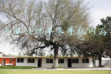 怎么清理苹果手机内存