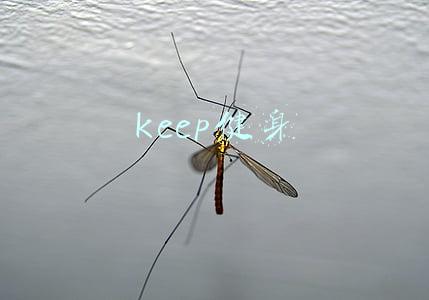 keep健身