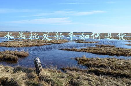 水果批发新手如何进货