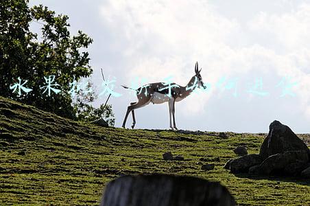 水果批发新手如何进货