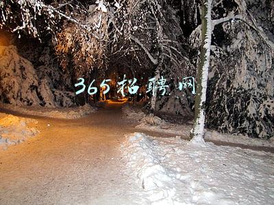 365招聘网