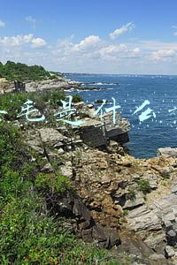 美国褥羊毛是什么意思(通俗易懂版：美国到底是如何薅羊毛的？)