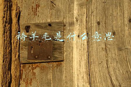 一起褥羊毛是什么意思(恶意利用平台规则漏洞“薅羊毛”“占小便宜”小心涉嫌犯罪)