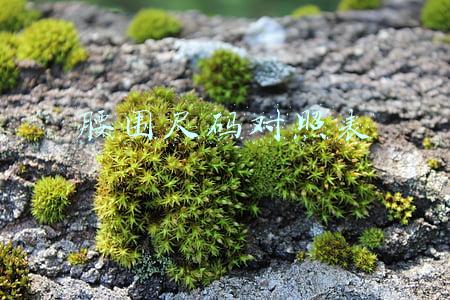 腰围尺码对照表