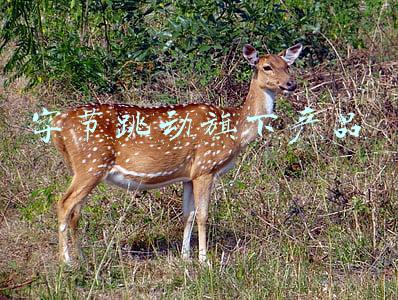 字节跳动旗下产品矩阵图(字节跳动大变阵：成立六个业务板块，今日头条等并入抖音)