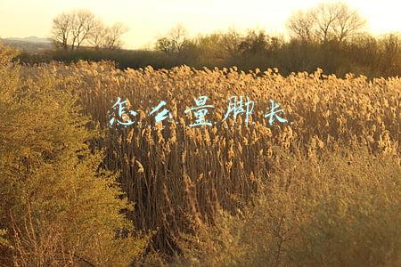 怎么量脚长