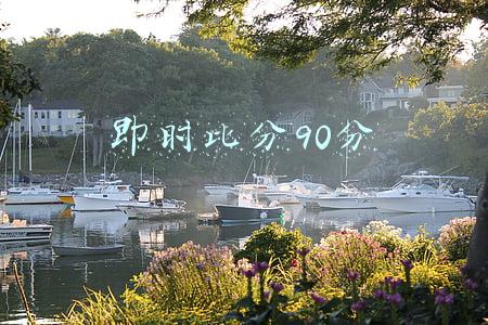 即时比分90分