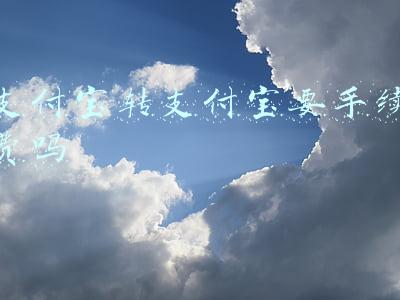 支付宝转银行卡手续费(支付宝转朋友银行卡要收费？网购超 5000 倒不成问题)