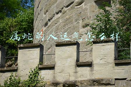 属蛇的人运气怎么样