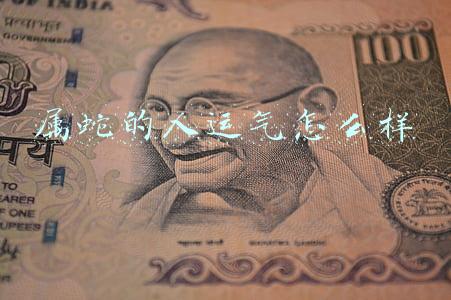 1977年属蛇的人运气(大金蛇全年运势真是太好了，尤其77年的)