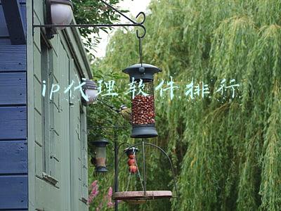 ip代理软件排行