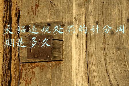 天猫违规处罚的计分周期是多久