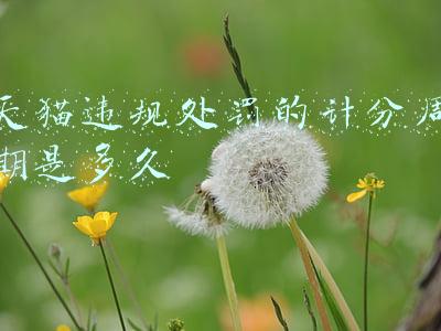 天猫违规处罚的计分周期是多久