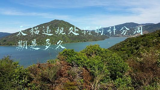 天猫违规处罚的计分周期是多久