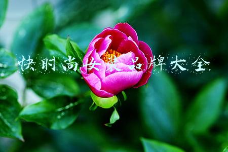 快时尚女装品牌大全