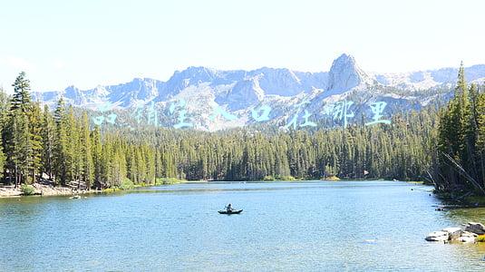品销宝入口在哪里