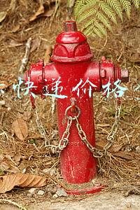 国际快递价格查询