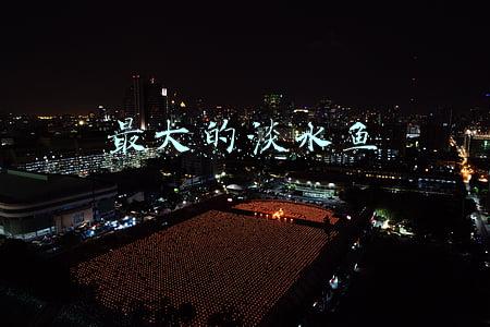 最大的淡水鱼排名(淡水角斗士：十大淡水鱼)