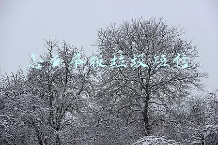 怎么举报垃圾短信