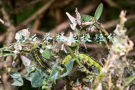 举报垃圾短信的方式(坚决打击网络暴力 可通过这些方式举报)