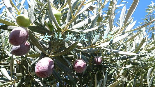 郑州女鞋批发市场(全国鞋类批发市场简介2)
