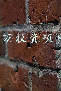 网络投资项目有哪些(网络安全逐步成为投资热点，这里有些值得了解的一级市场项目)
