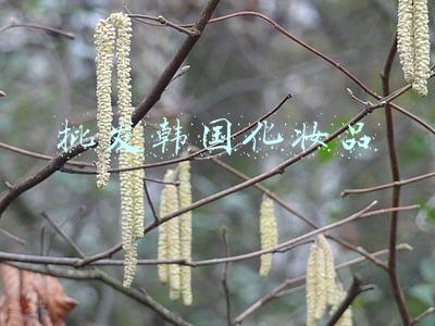 韩国化妆品批发渠道(10个韩国认证化妆品品牌体验店即将落户沈阳)