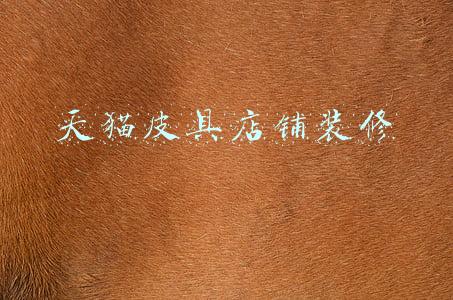 天猫皮具店铺装修