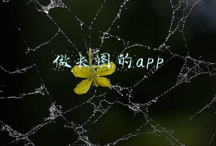 做长图的app 做长图的app