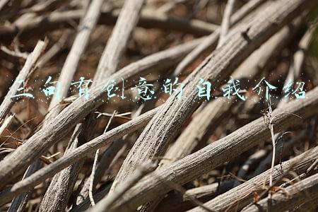 三句有创意的自我介绍